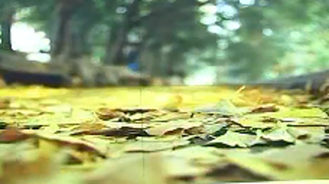 天氣早知：我省大部創(chuàng)下半年氣溫新低