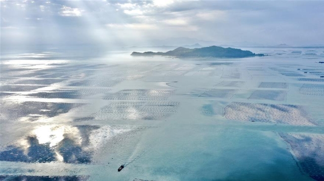 福建東山：光影海上牧場