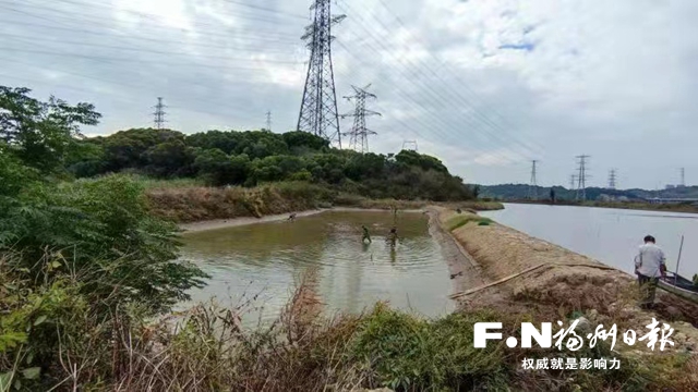 福清在全省率先試點“造地”：化腐朽為神奇 變坑塘為耕地