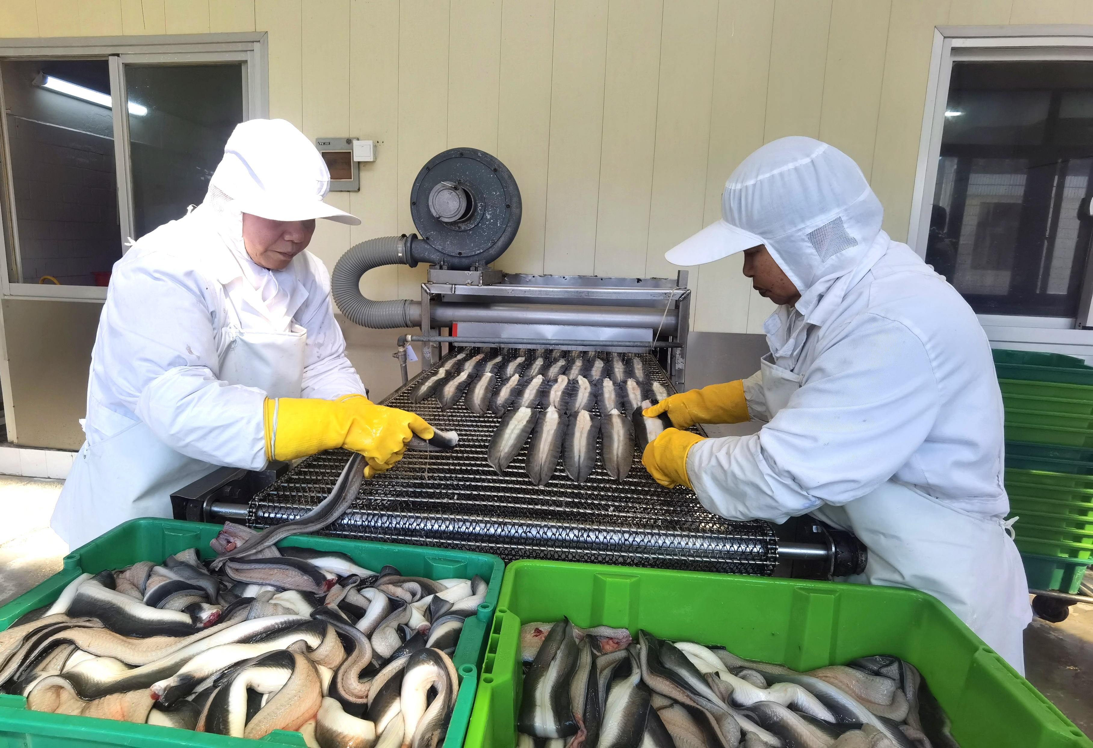 福清弘晟食品有限公司奮力實現“開門紅”