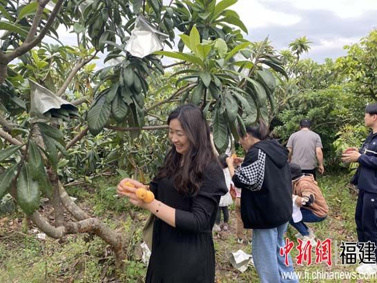 僑鄉(xiāng)福清東張“農(nóng)文旅”帶熱古鎮(zhèn)游