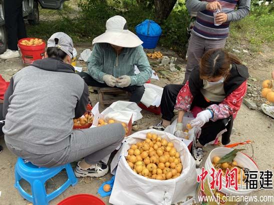 僑鄉(xiāng)福清東張“農(nóng)文旅”帶熱古鎮(zhèn)游