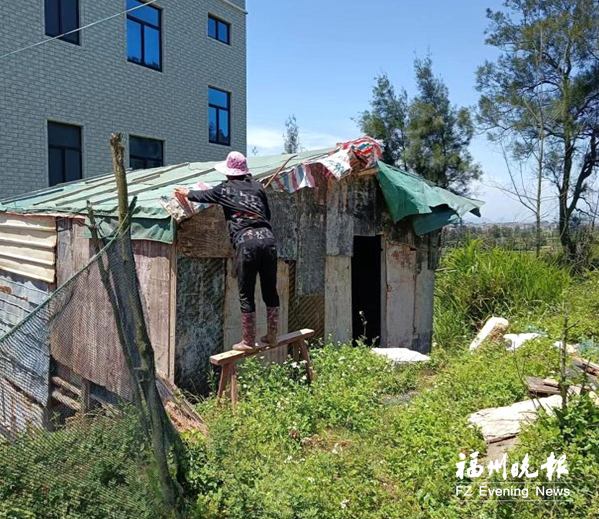 福清港頭鎮拆除十余處違建