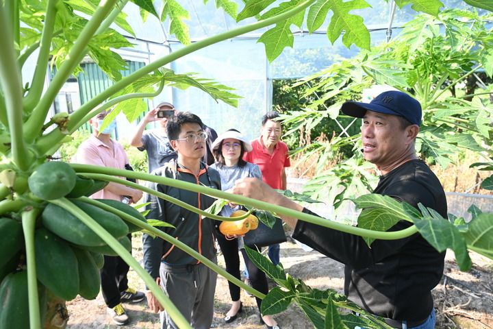 福建福清：加強(qiáng)閩臺農(nóng)業(yè)合作促進(jìn)產(chǎn)業(yè)融合發(fā)展