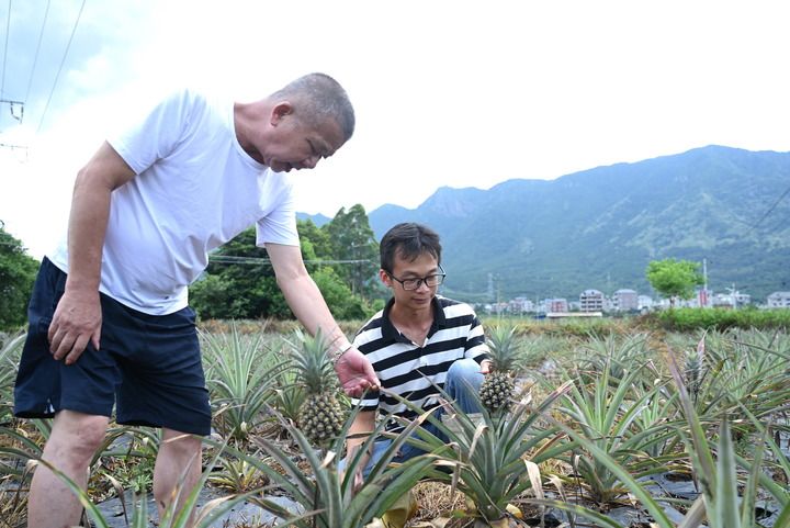 福建福清：加強(qiáng)閩臺農(nóng)業(yè)合作促進(jìn)產(chǎn)業(yè)融合發(fā)展