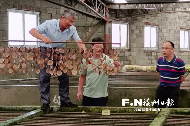 福州福清：“桃花島主”的致富經(jīng)