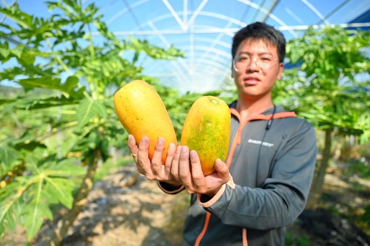 福建福清：加強(qiáng)閩臺農(nóng)業(yè)合作促進(jìn)產(chǎn)業(yè)融合發(fā)展