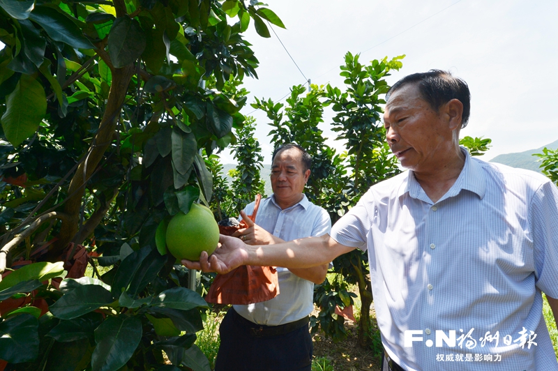 福清東張水庫移民依托政策扶持安居樂業
