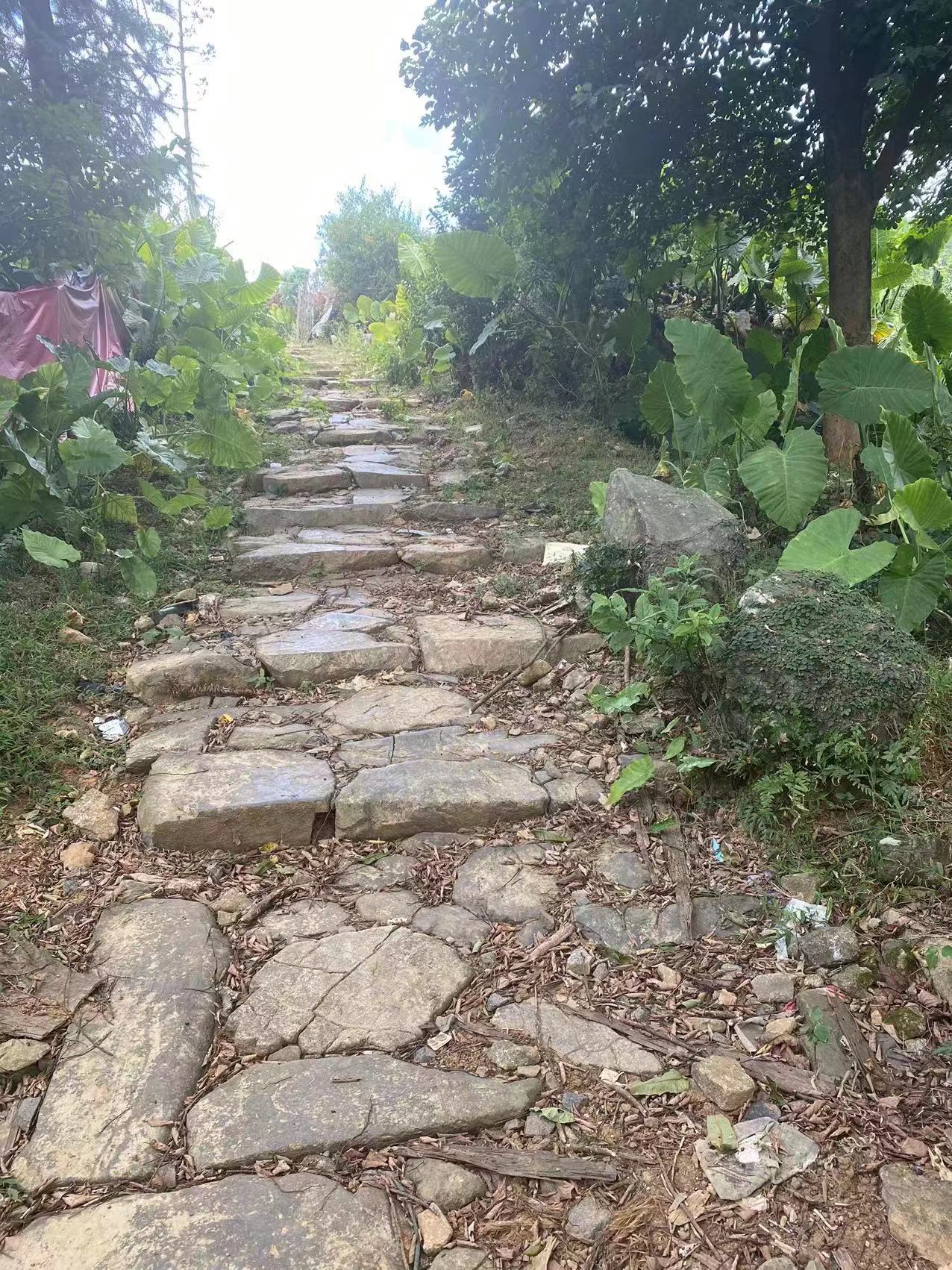 福清發(fā)現(xiàn)黃檗希運(yùn)禪師出生地舊址