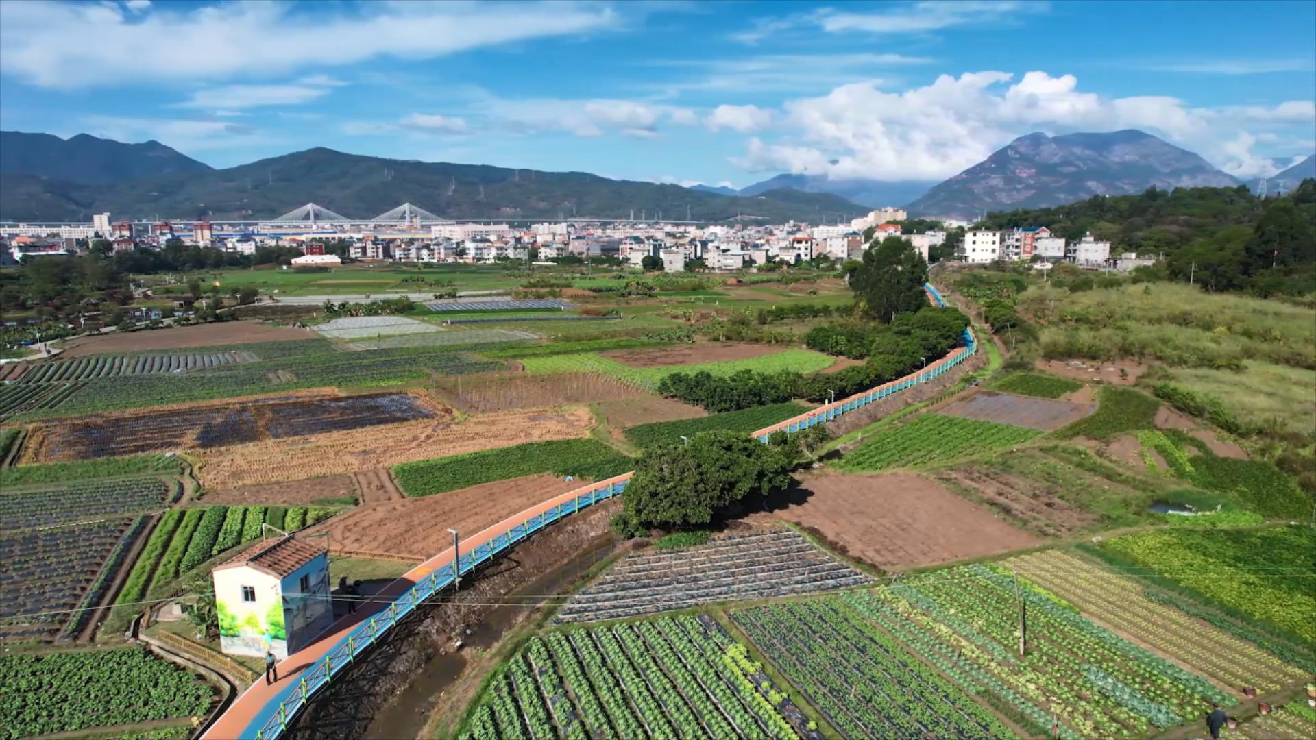 宏路街道建成特色田園步道