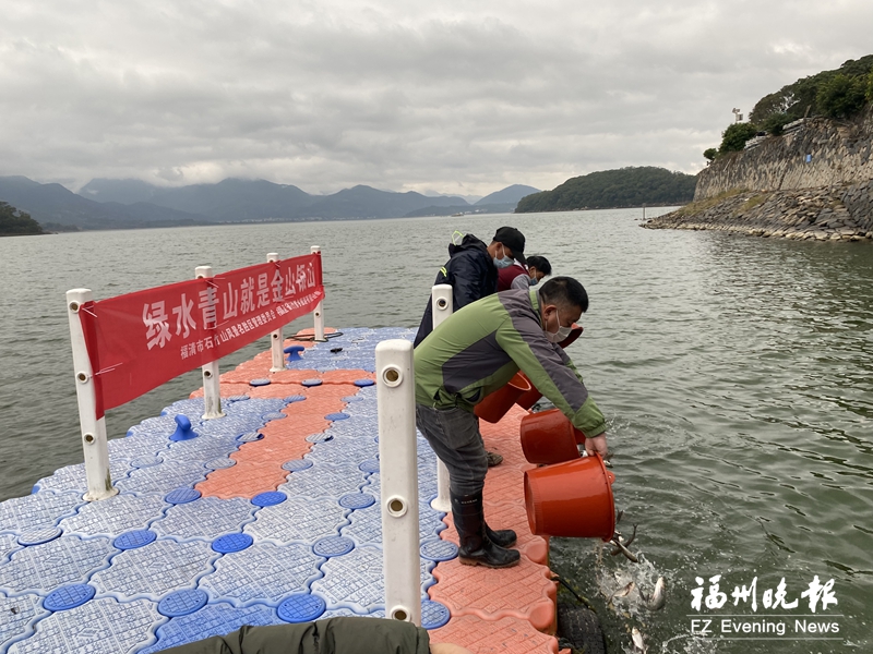 福清在東張水庫開展增殖放流活動