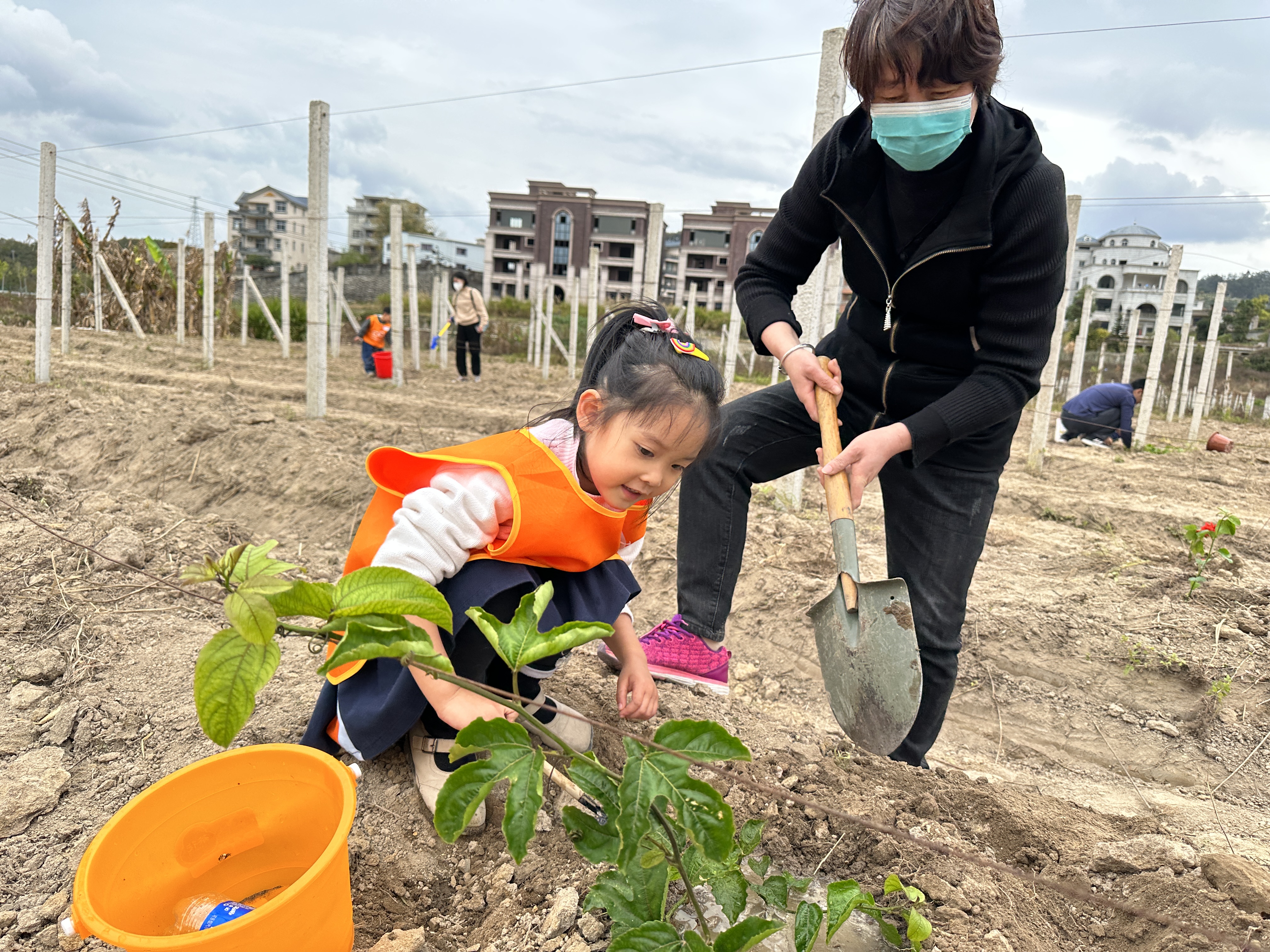 中央公園苗木基地舉行植樹活動