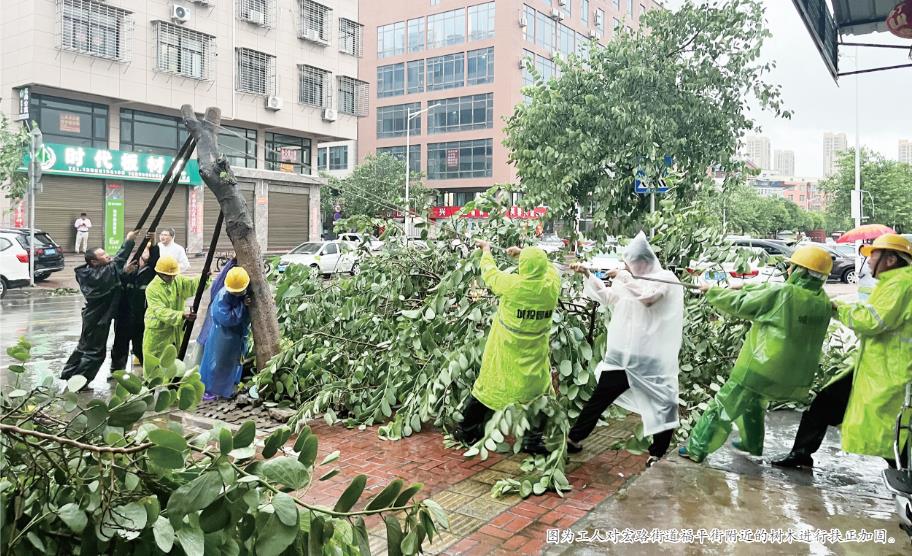 我市快速處置倒伏樹(shù)木  保障城市安全順暢運(yùn)行