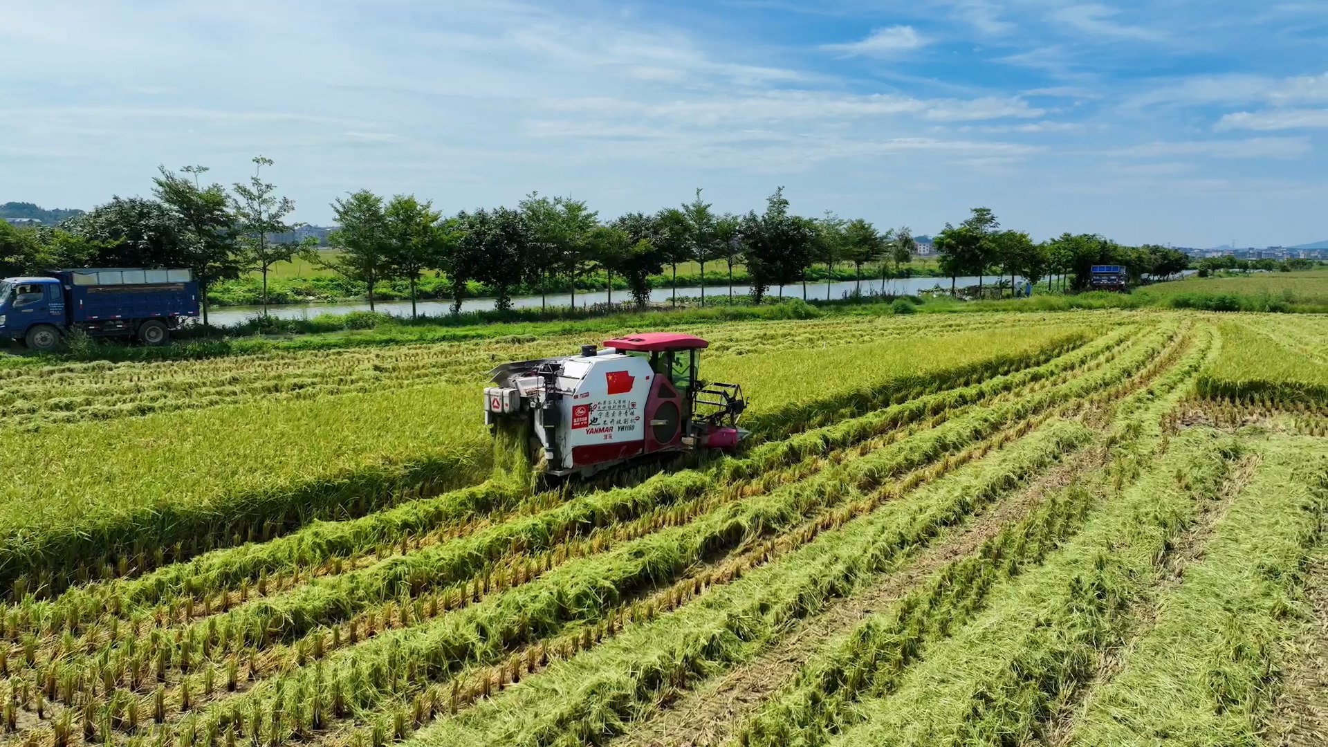 全市種植面積5.54萬畝