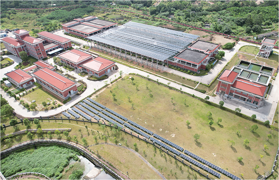 福清市觀音埔水廠儲能綜合利用項目順利并網發電