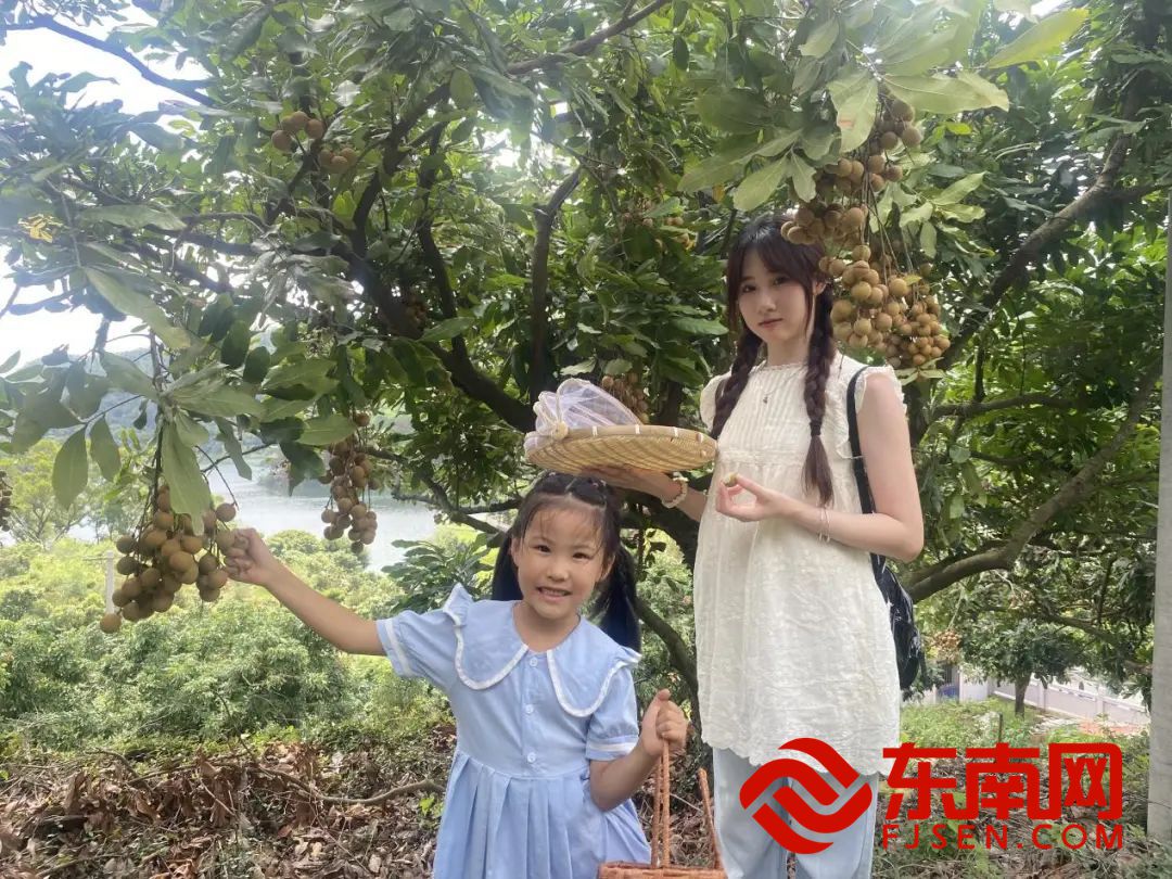 龍眼節7.jpg