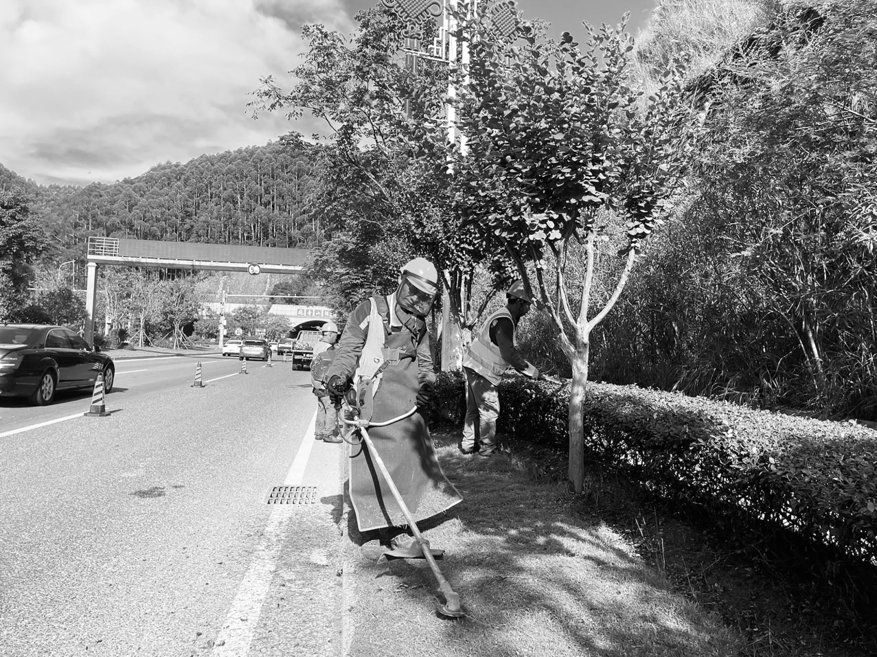 市園林管理處著力提升城市園林綠化智慧化管理水平