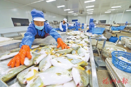 向新向外向更優　福清經濟社會發展成績亮眼，全國排名穩步提升