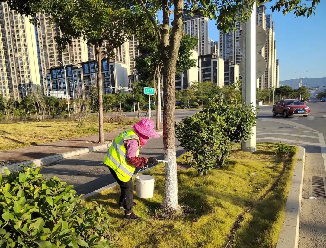 我市全力做好城市園林綠化防寒防凍養護工作
