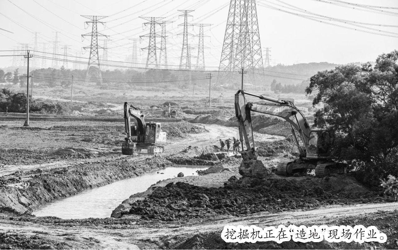 “沉睡地”煥發“新生機”