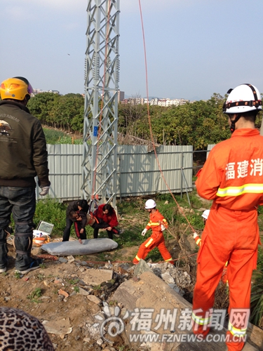 13歲男孩爬高壓鐵塔被電死 另外2名男孩逃過一劫