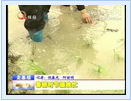 5月11日福清電視新聞