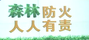 森林火災(zāi)防范未