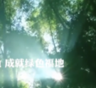 從生態(tài)底色好到綠色發(fā)展強(qiáng) 這里是福建
